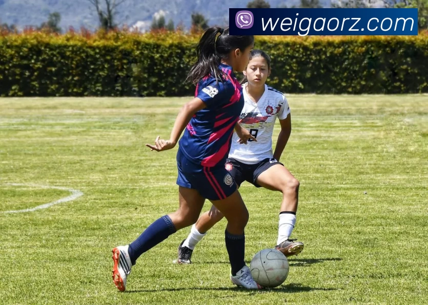 世界杯中国官网APP 高清赛事图